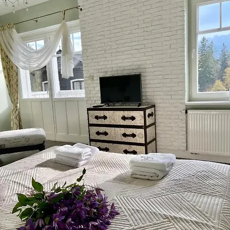 Apartment Dolina Wikingow Urnes 07 *